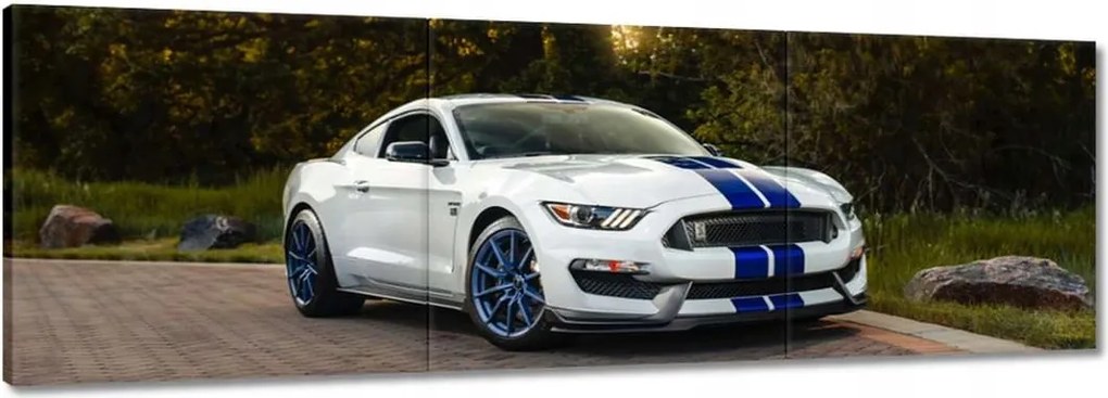 Vászonkép 60x20 Ford Mustang Usa autó
