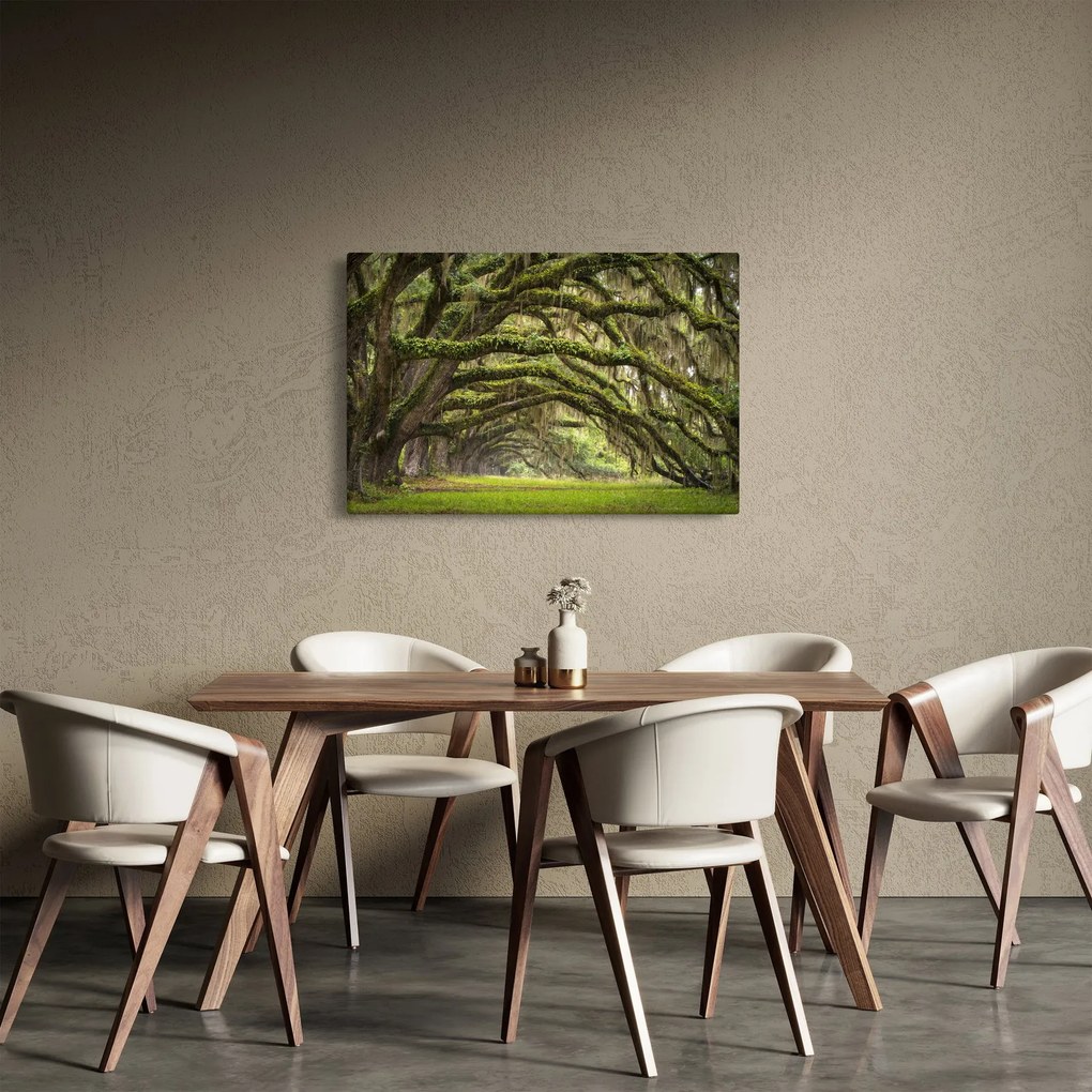 Kép - Oaks Avenue, Charleston, Dél-Karolina, Egyesült Államok (90x60 cm)