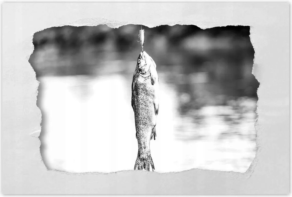 Poszterek 90x60 Pisztráng a horgon hal