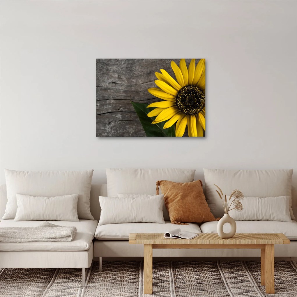 Kép - Napraforgó virága (70x50 cm)
