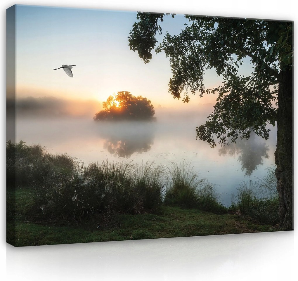 Vászonkép 80x60 Gondtalan tó reggeli köd nyugodt éteri természet
