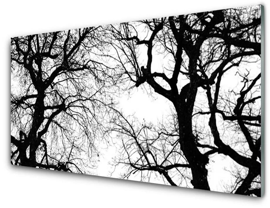 Akrilkép Fák Természet fekete-fehér 140x70 cm