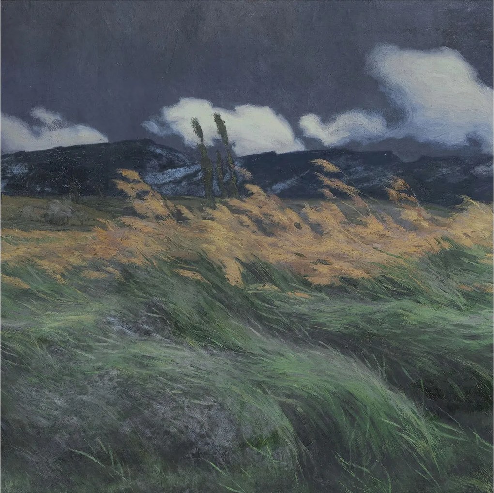 Fotótapéta Fali ragasztó szett Felfújható fű 250x250 Ragasztó