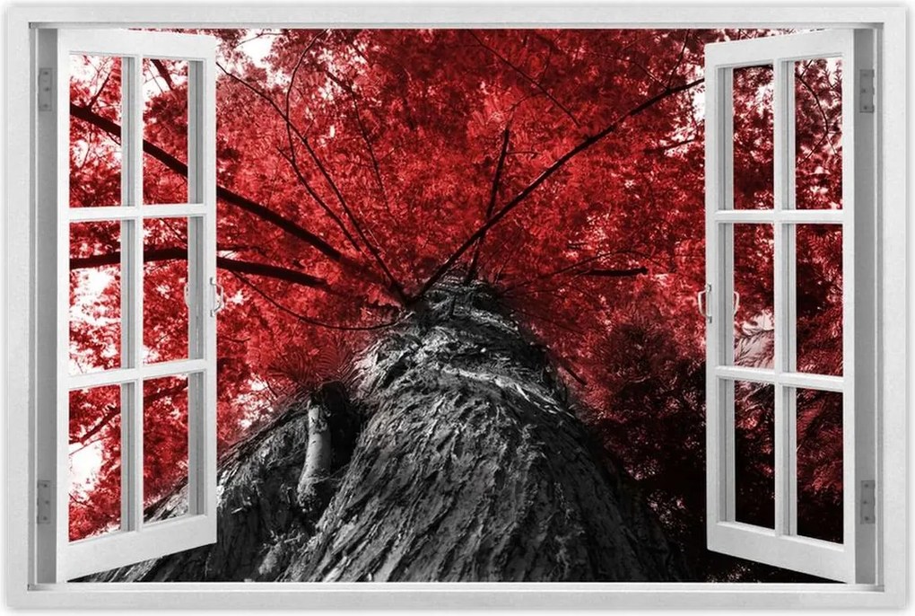 Poszterek 60x40 mamutfenyő Magas fa