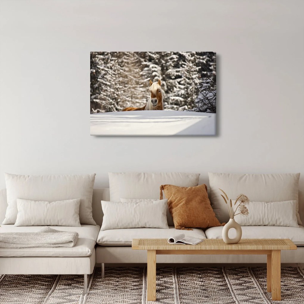 Kép - Ló a téli tájban (90x60 cm)