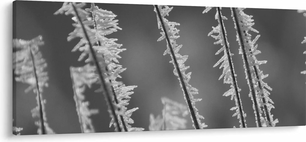 Kép - Fagyos hideg (120x50 cm)