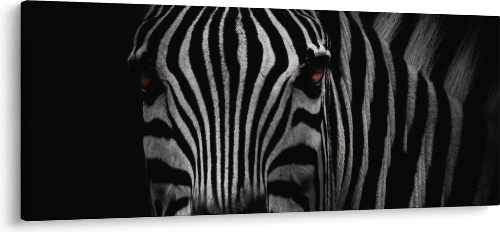 Zebra képe (120x50 cm)