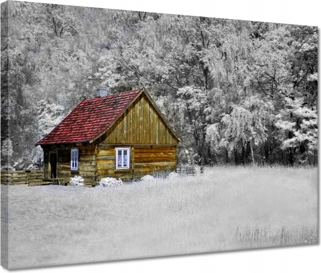 Vászonkép 40x30 Faház Bale