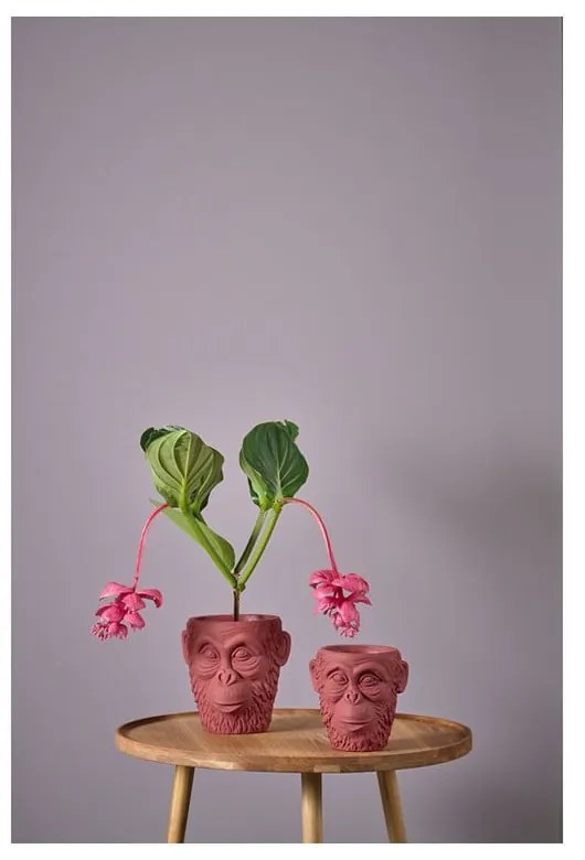 Calbe piros virágcserép ø 22 cm - Villa Collection