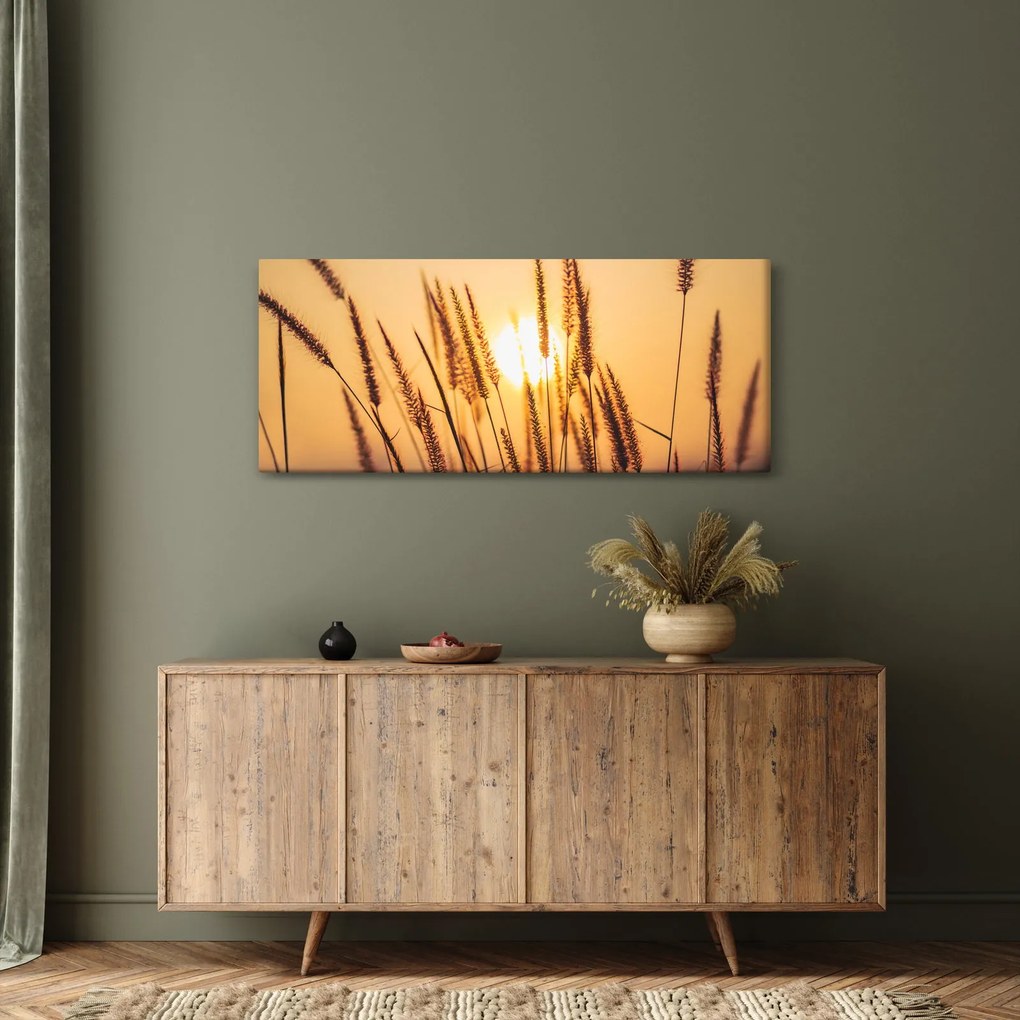 Kép - Füvek a napon (120x50 cm)