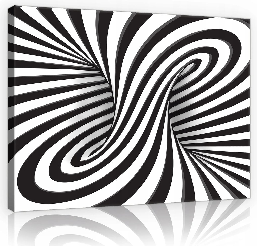 Vászonkép nappaliba modern fehér-fekete 3D 60x40