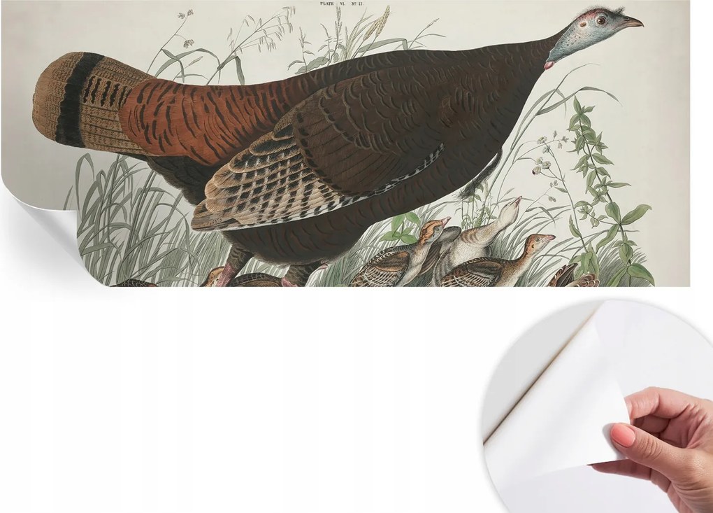 Design fali fotótapéta öntapadós természetes harmónia 250x104