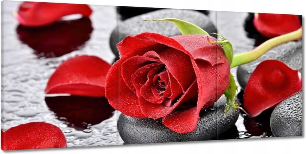 Vászonkép 210x100 Vörös rózsa Neki