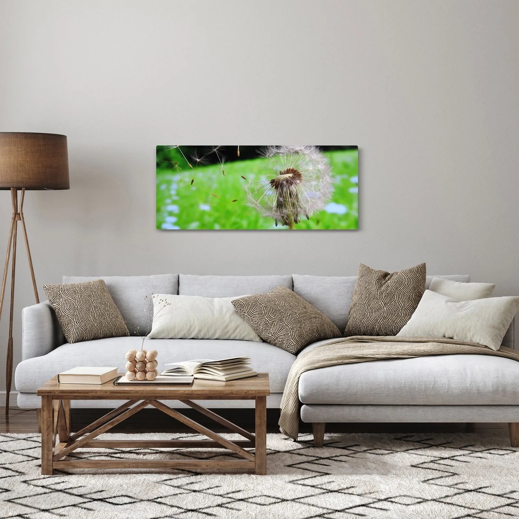 Pitypang képe (120x50 cm)
