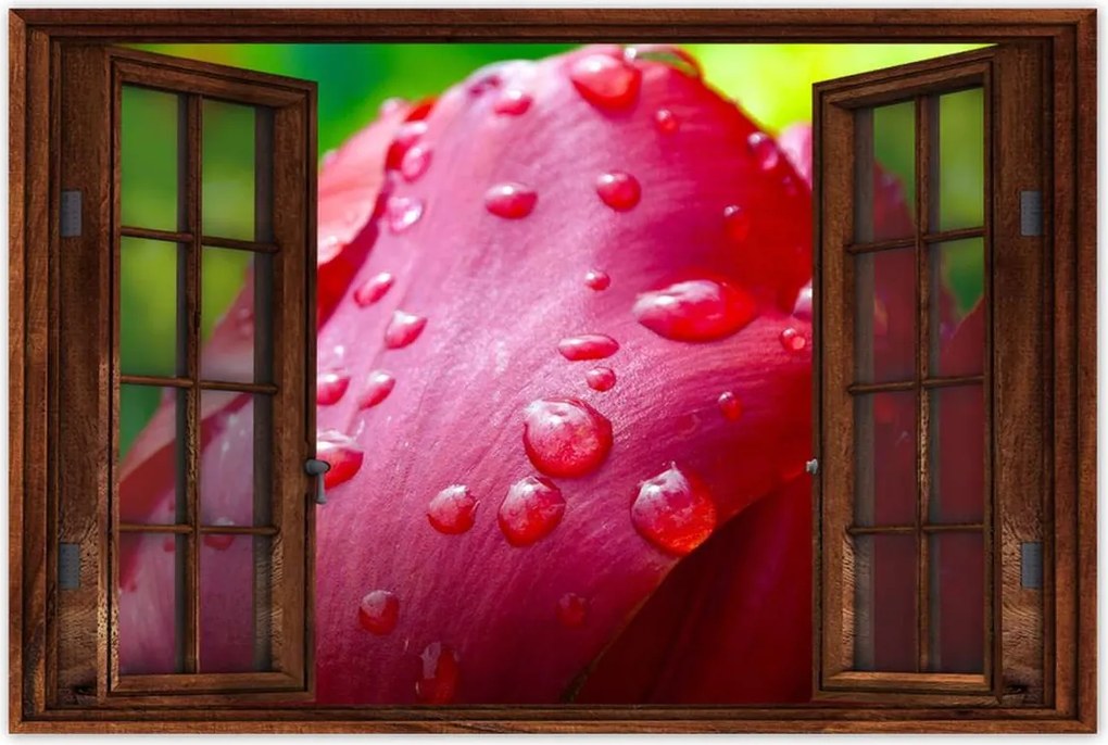 Poszterek 90x60 Tulipánok Virágok