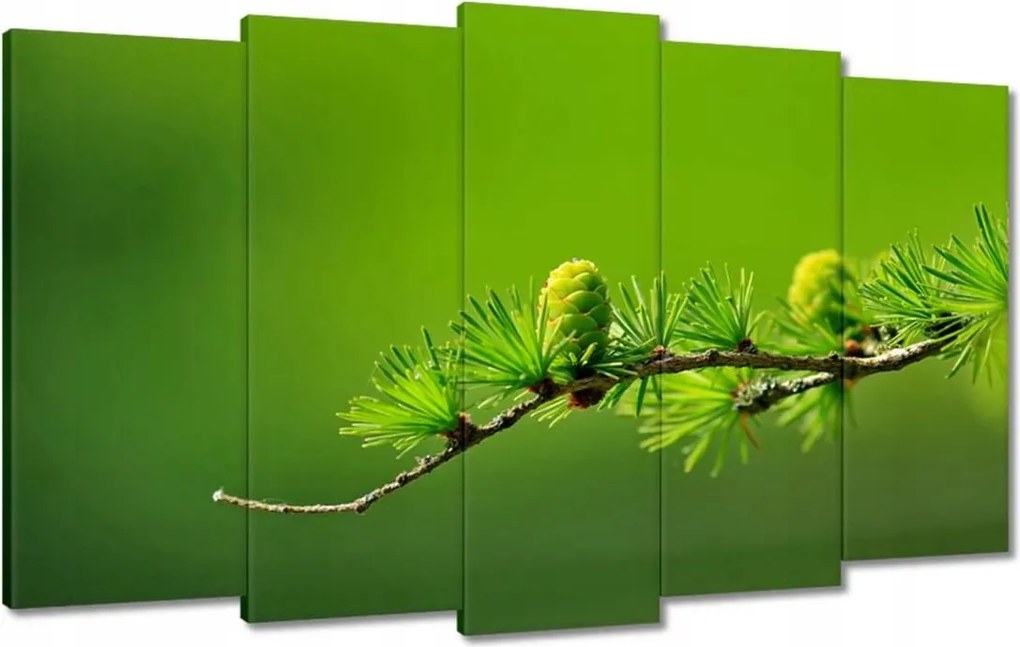 Festmények 100x60 Fa Fák Kilátás