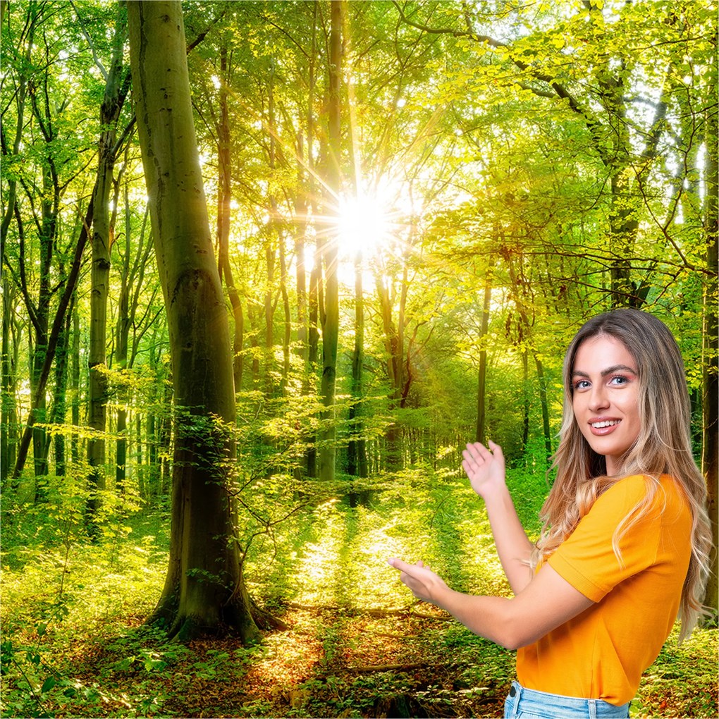 3D fotótapéta Nappali Hálószoba Erdő Fák Nap 588x260 P03F