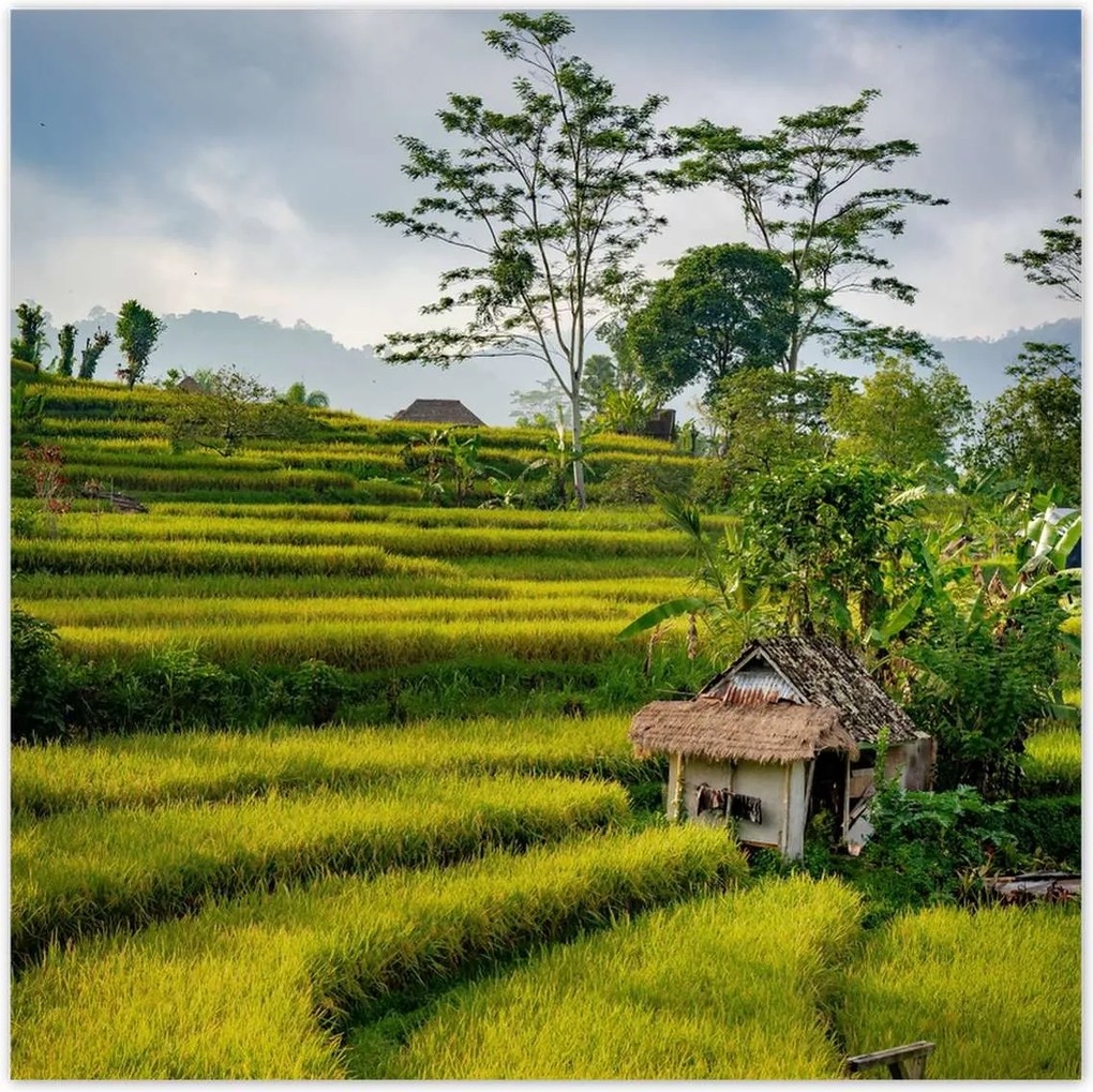 Poszterek 100x100 Tájkép Látvány