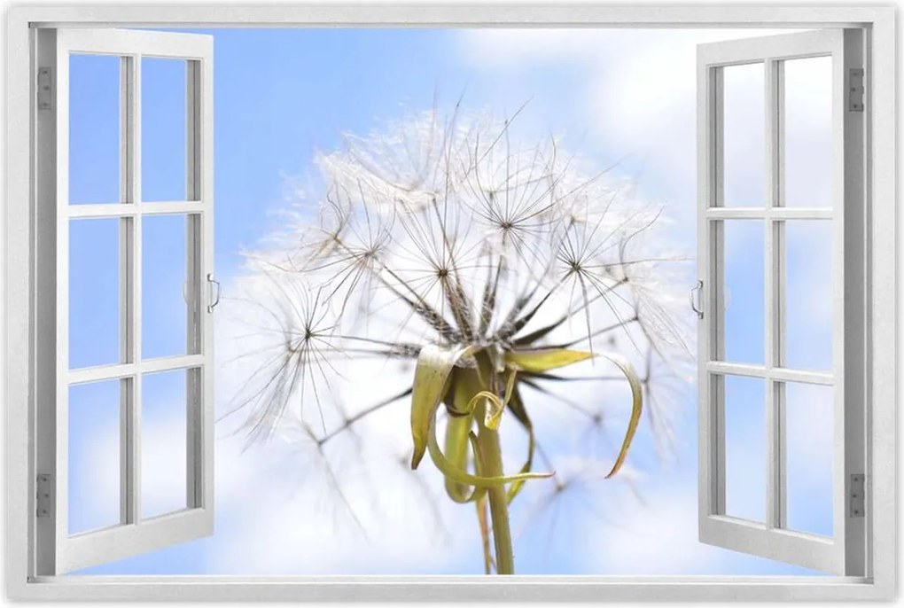 Poszterek 90x60 Pitypang Virág Virágok