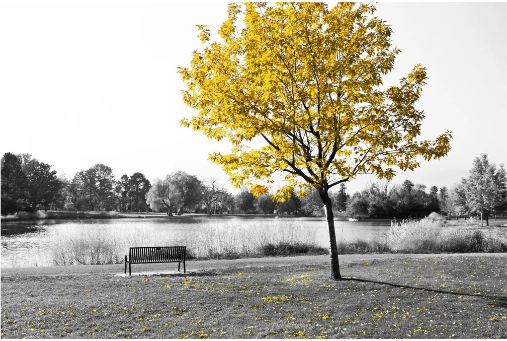 Kép - Pihenés a parkban (90x60 cm)