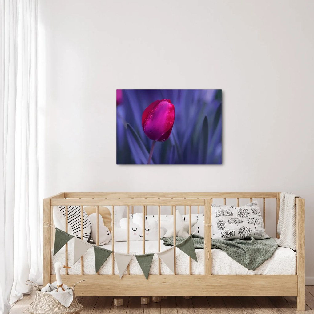 Tulipán bimbó képe (70x50 cm)