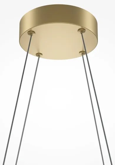 Maytoni MOD244PL-L50BSK - HALO LED kábeles csillár LED/40W/230V arany