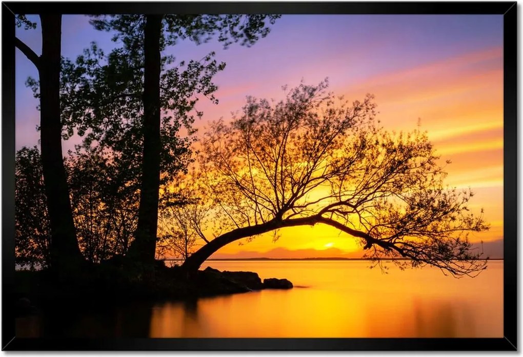 Poszterek keretben 60x40 Fák Naplemente