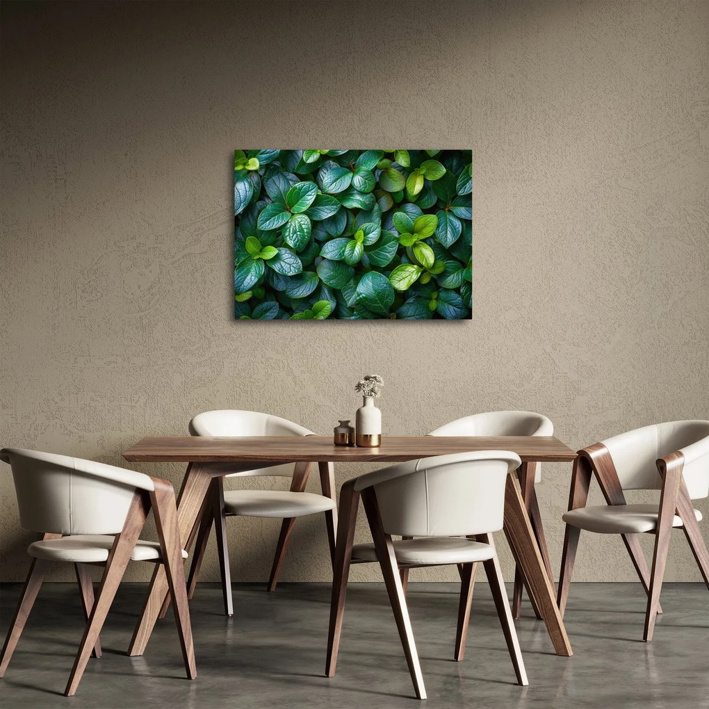 Kép - Zöld növények (70x50 cm)