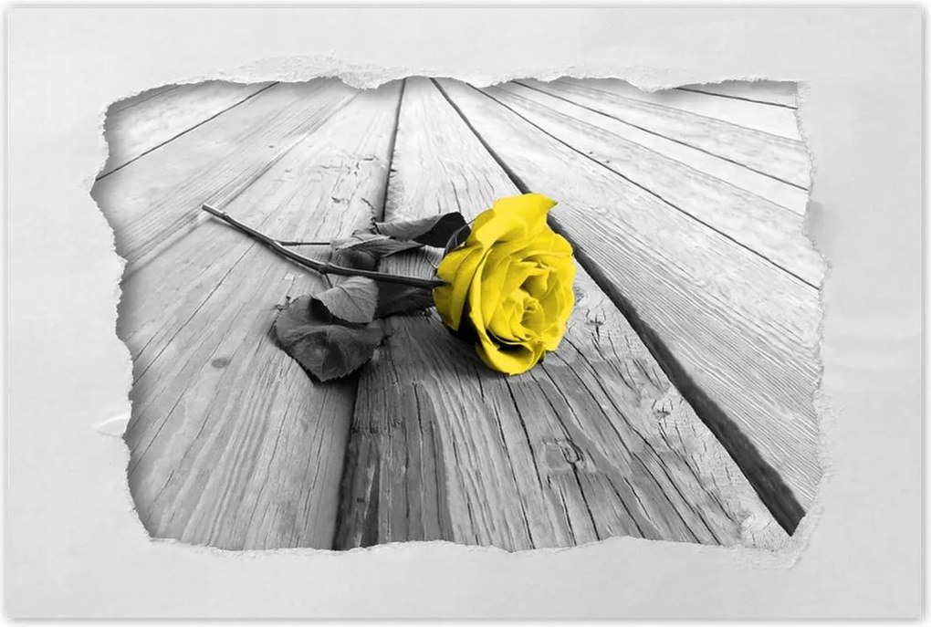 Poszterek 90x60 Sárga rózsa a deszkákon