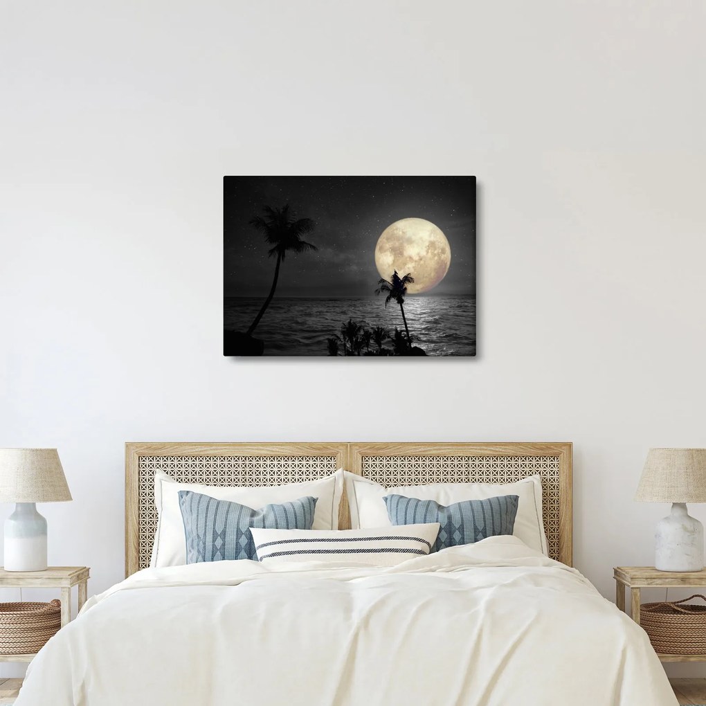 Kép - A strand a telihold alatt szürke tónusokkal (70x50 cm)