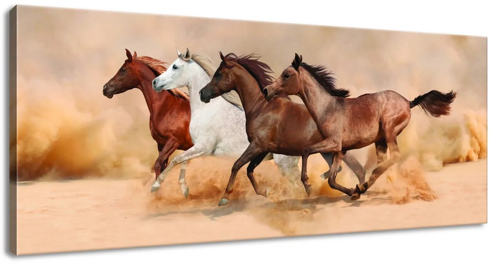 Gario Vászonkép Gyönyöru lovak állománya Méret: 100 x 70 cm