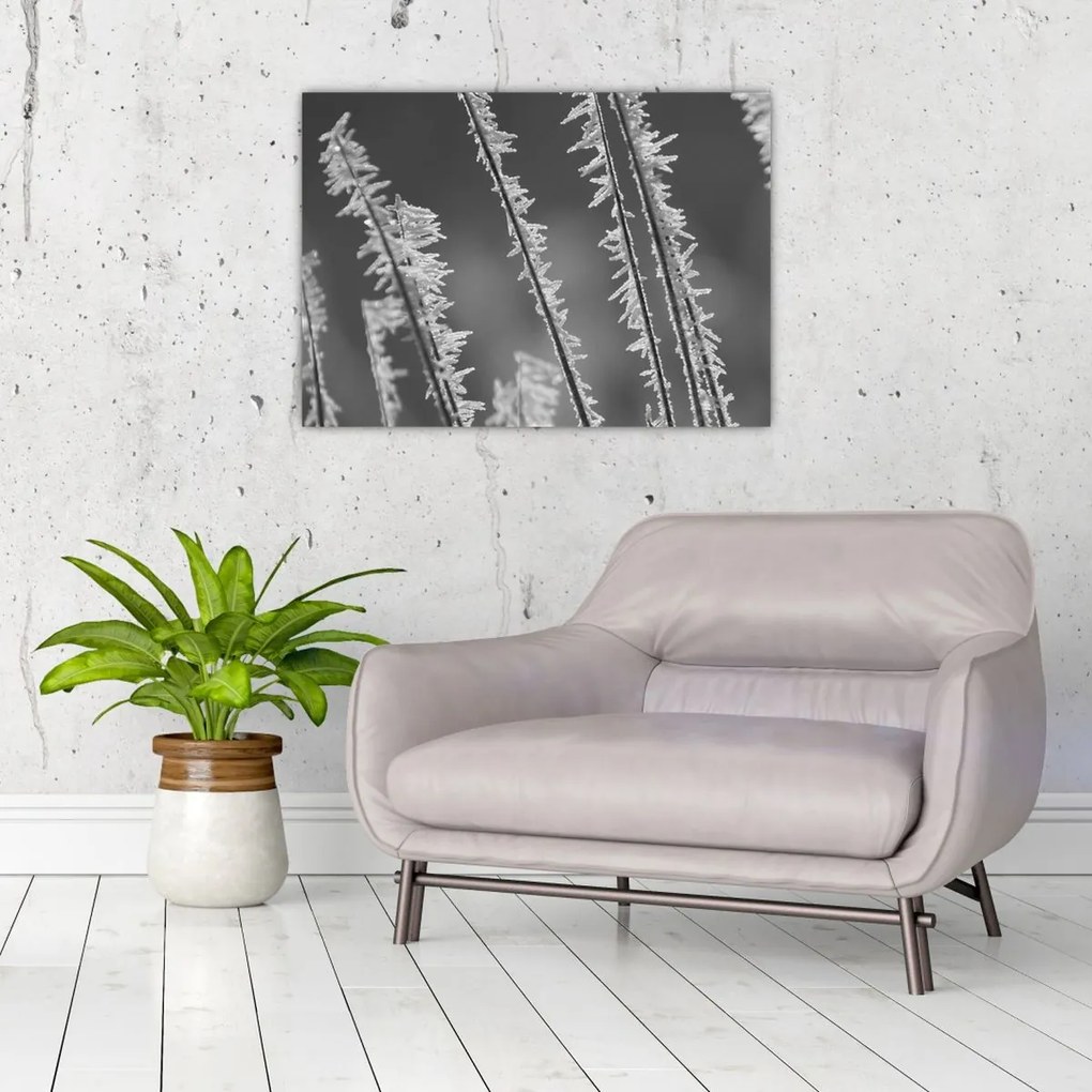 Üveg kép - Fagyos hideg (70x50 cm)