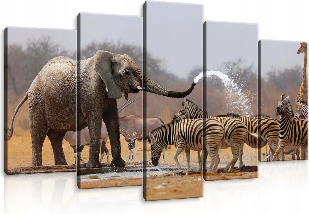 Vászonkép 100x60 Afrikai szavanna vízesés elefánt zebra zsiráf harmónia természet