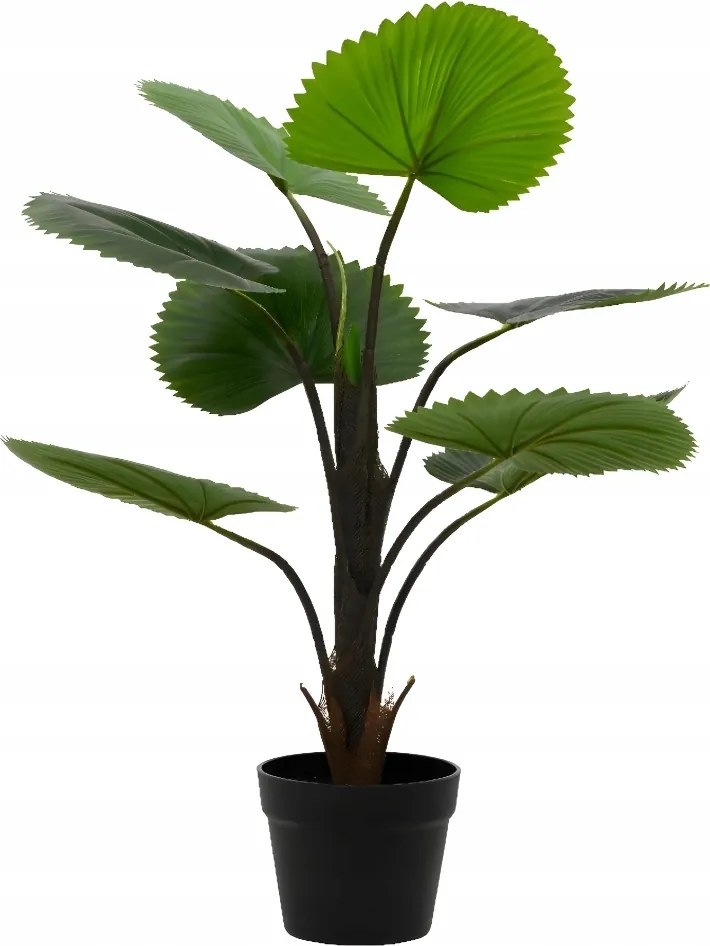 Mesterséges pálma legyező kaspóban otthonra szoba 75cm