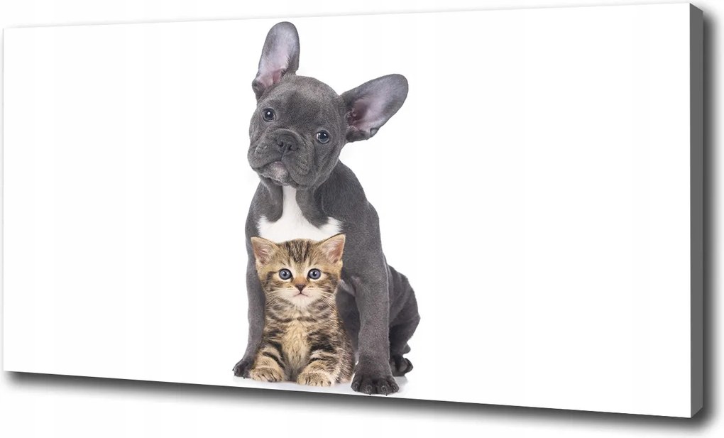 Canvas falikép Kutya és macska 120x60 cm
