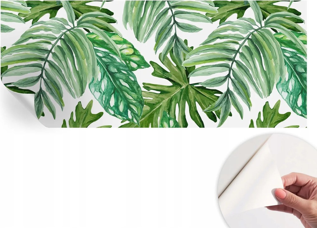 Matt öntapadós fotótapéta Falra Egzotikus levelek 250x104 cm