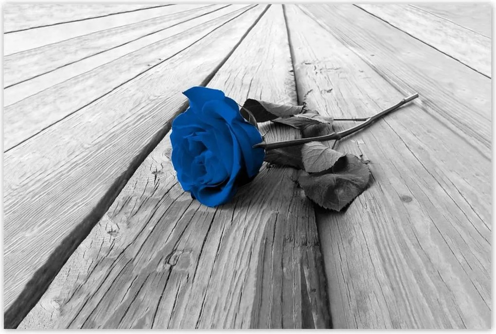 Poszterek 120x80 Kék rózsa a hídon