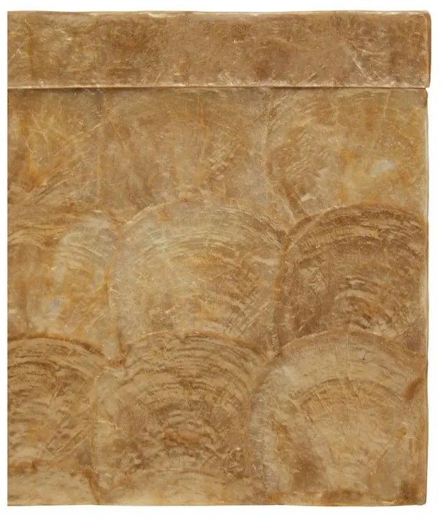 Zsebkendőtartó Palu – Premier Housewares