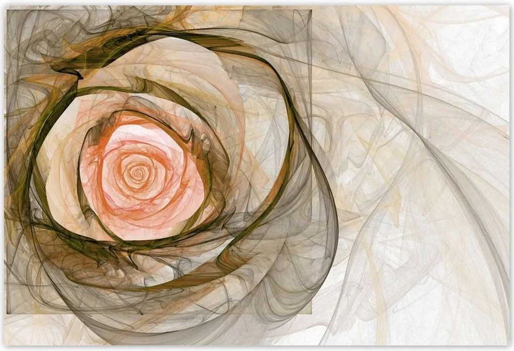 Poszterek 185x125 Absztrakt rózsa virág