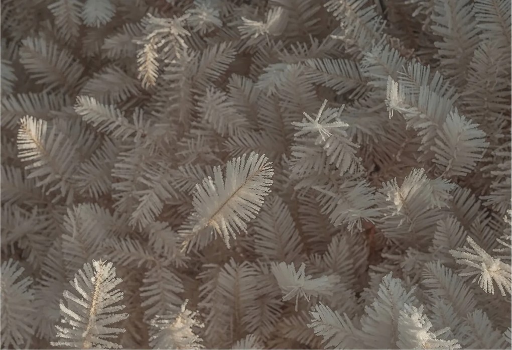 Divatos Flizelin Tapéta Fali Furnér Fagyasztott gallyak 152x104 Ragasztó