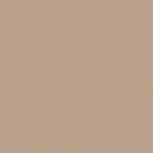 Burkolat Rako Color One bézses barna 15x15 cm fényes WAA19301.1