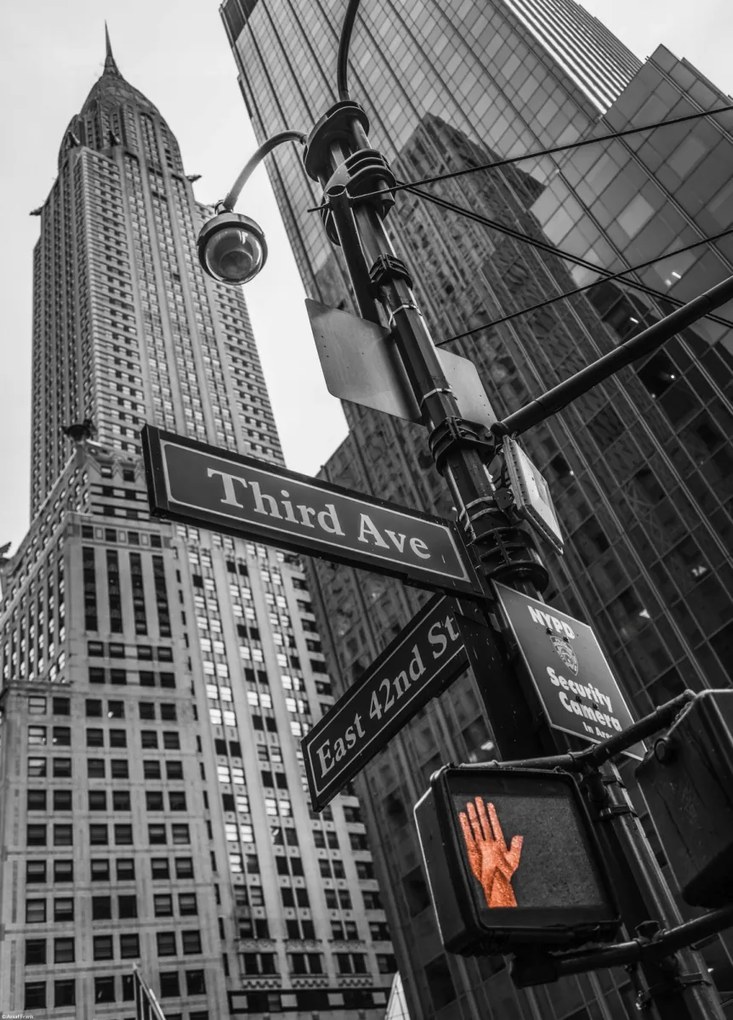 Poszter 39,5x55cm Utcatáblák és Chrysler Building New Yorkban, Assaf Fr