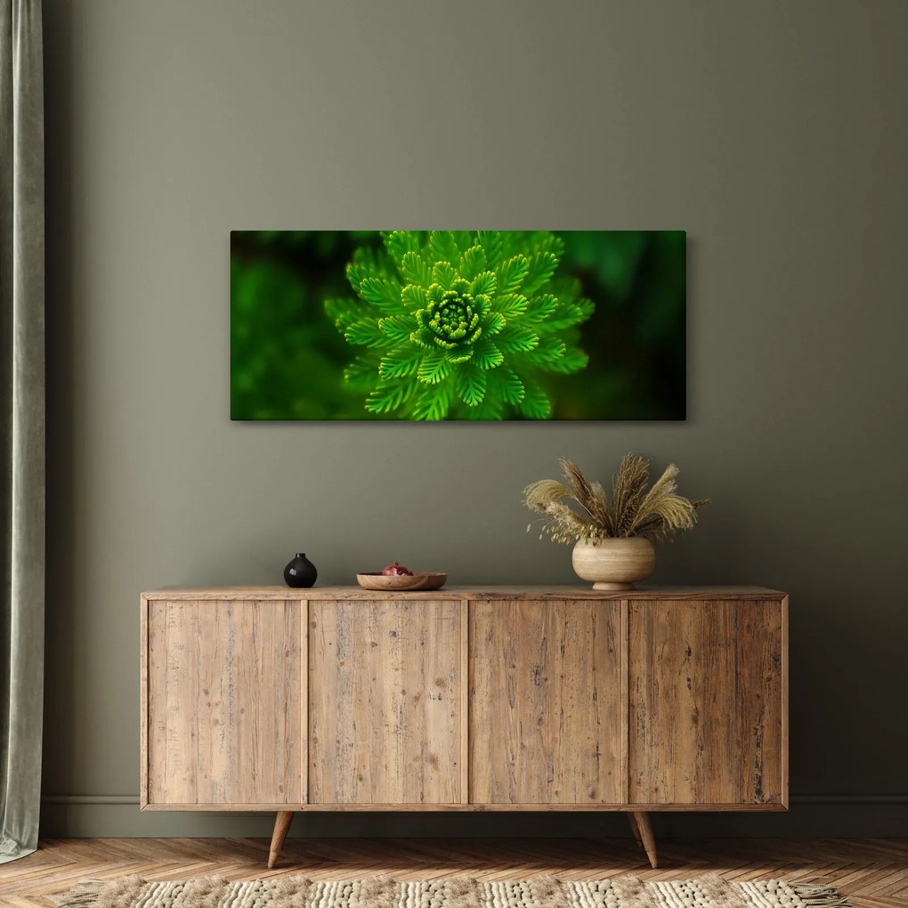 Tűlevelű képé (120x50 cm)