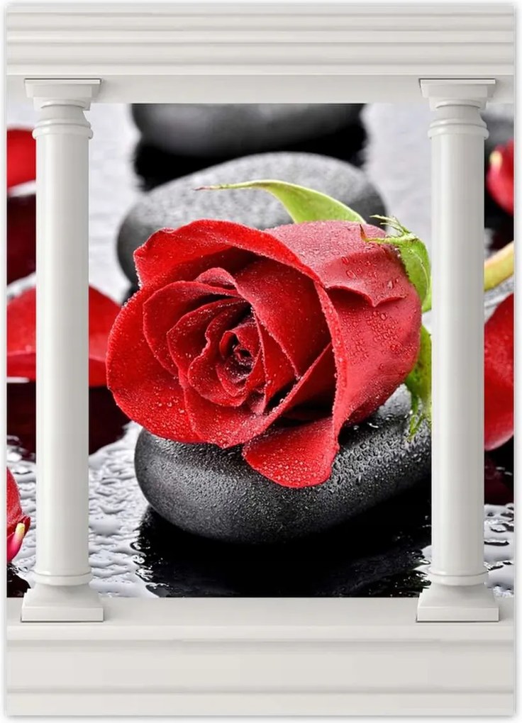 Poszterek 50x70 Vörös rózsa Neki