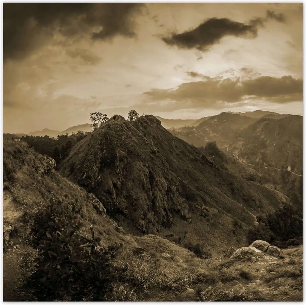 Poszterek 30x30 Barna tájkép Tájkép