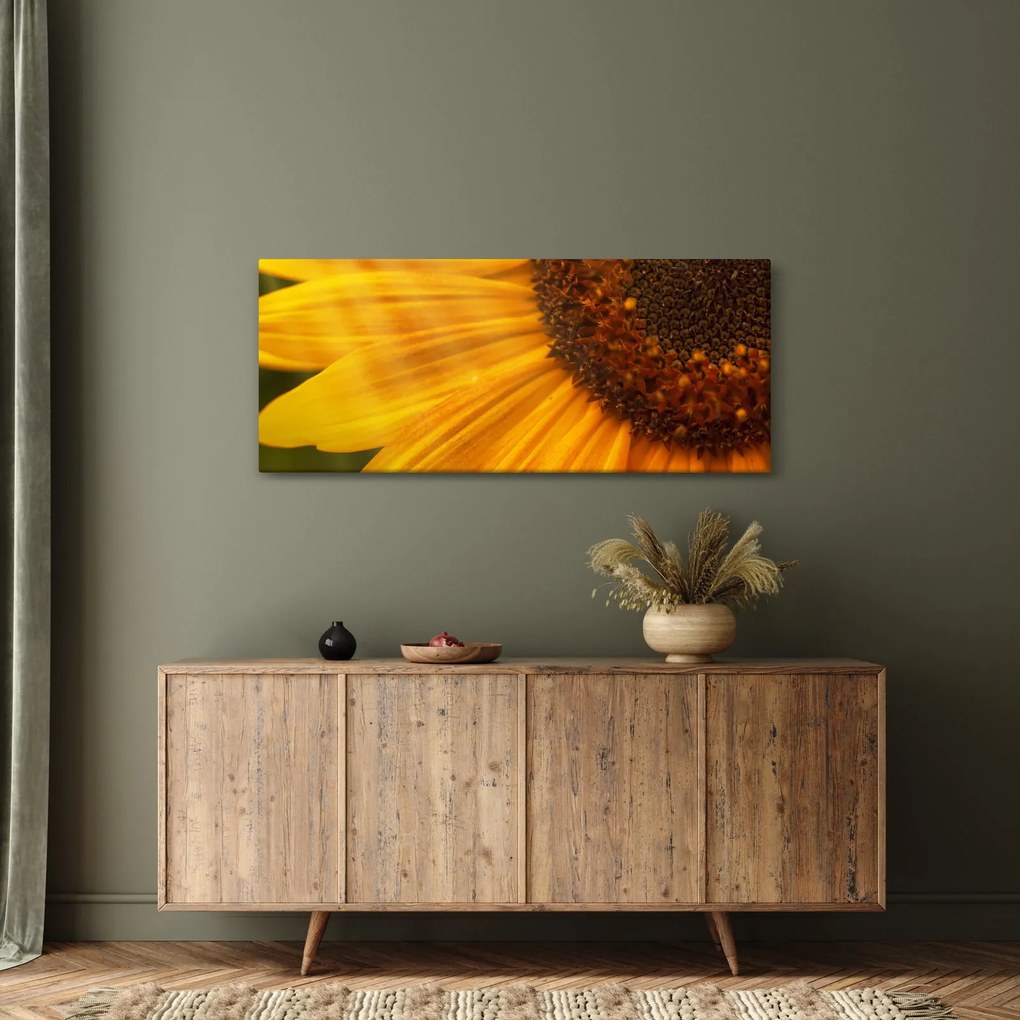 Kép - Napraforgók (120x50 cm)