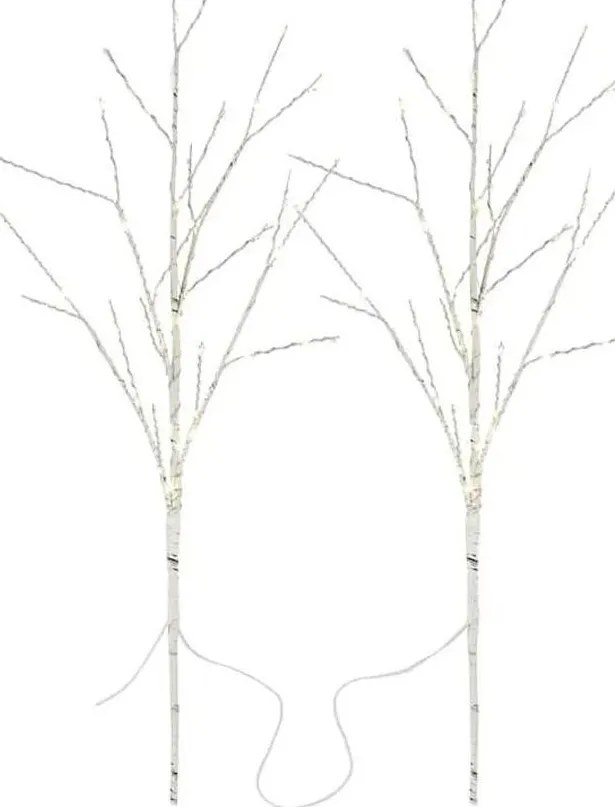 LED kültéri karácsonyi dísz 100xLED/3xAA meleg fehér IP44