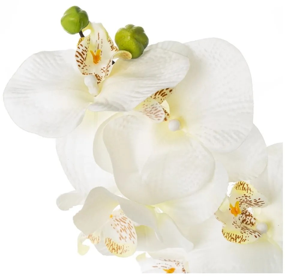 Műnövény (magasság 45 cm) Orchid – Casa Selección
