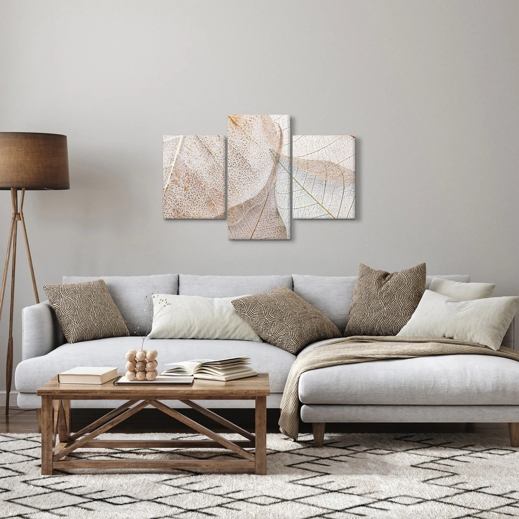 Kép - Bézs levelek (90x60 cm)