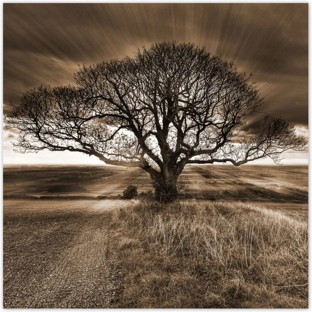 Poszterek 140x140 Tájkép varázslattal